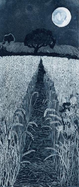 ojo chatarra: esas raras imágenes en stock photo ojo_chatarra41_101_zps01bd6d86.jpg