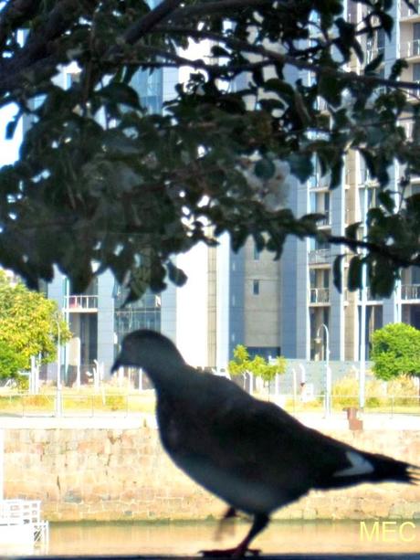 Hoy en un día lluvioso y frío la calidez de Alfonsina. Hoy en un día lluvioso y frío la calidez de Alfonsina.