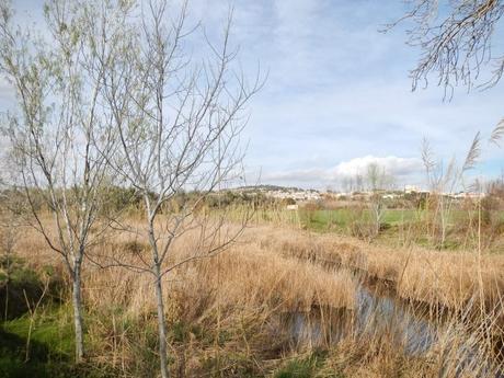 Desembocadura del río Gaià. Tamarit (Tarragona)