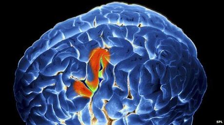¿Realmente se puede leer la mente? Cerebro iluminado