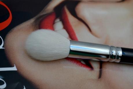 A new highlighter brush 105_LUXE_HIGHLIGHT_zoeva_ObeBlog_02