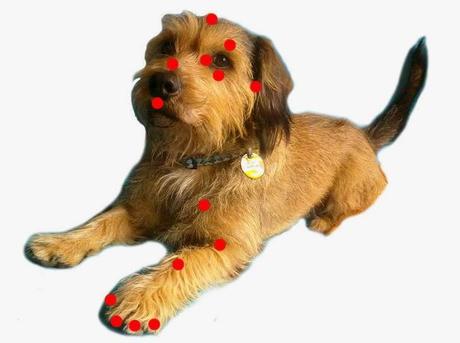 Tapping o EFT Tapping o EFT