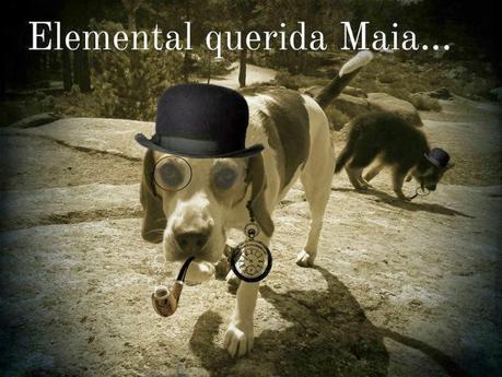 Iniciativa contra las cacas en Colmenar Viejo Iniciativa contra las cacas en Colmenar Viejo
