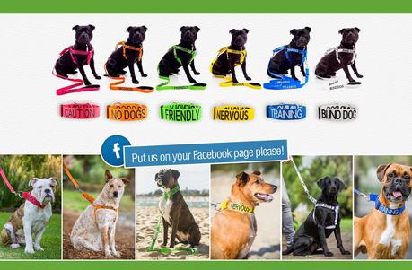 Código de colores **TIENDA** Código de colores **TIENDA**