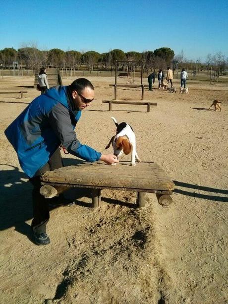 El día del Padre... El día del Padre...