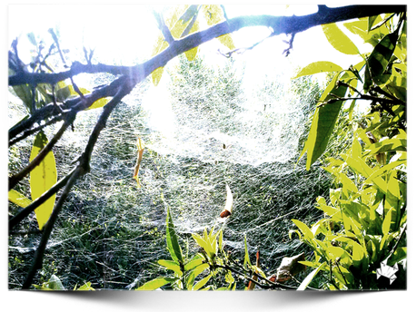 #WeekPic 18 La madre de las aventuras #WeekPic 18 La madre de las aventuras