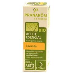 Aprende cómo prevenir y tratar las picaduras de los animales marinos Aprende cómo prevenir y tratar las picaduras de los animales marinos