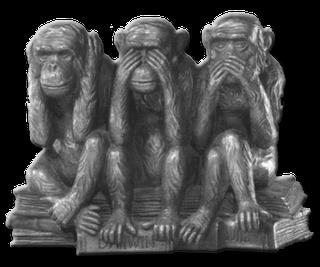 Lecciones de Gramática: de presidentes y miembros. Lecciones de Gramática: de presidentes y miembros.