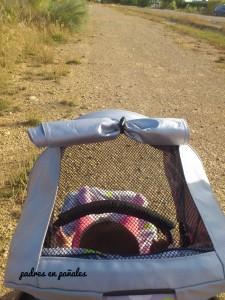 El carrito del bebé: 2ª parte uppababy-mirando-a-la-marcha