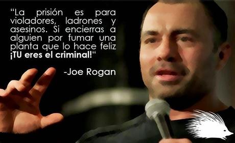 Privar de la libertad a las personas no es la Solucion a los males sociales Privar de la libertad a las personas no es la Solucion a los males sociales