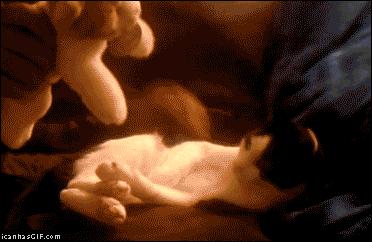 Feliz cumpleaños. Feliz cumpleaños.
