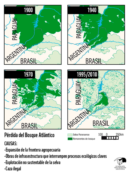 Las otras causas de la creciente Causas