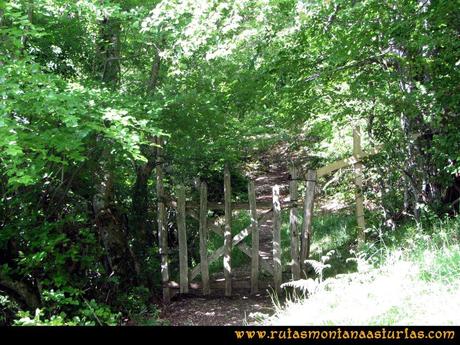 Ruta Lindes - Peña Rueda - Foix Grande: Portilla de entrada al bosque