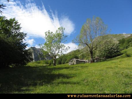 Ruta Lindes - Peña Rueda - Foix Grande: Manín de Arriba
