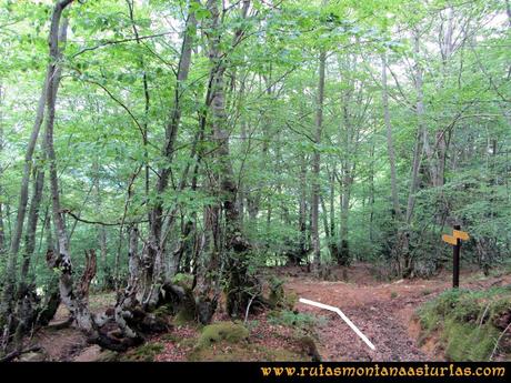 Ruta de Montaña en Asturias: Peña Rueda (2.155 metros)