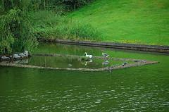 El tiempo al aire libre y los ojos de los niños El tiempo al aire libre y los ojos de los niños