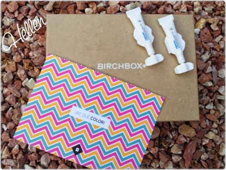 REPAVAR MONODERMÀ IDROSI XL GEL ANTITRANSPIRANTE REPAVAR MONODERMÀ IDROSI XL GEL ANTITRANSPIRANTE