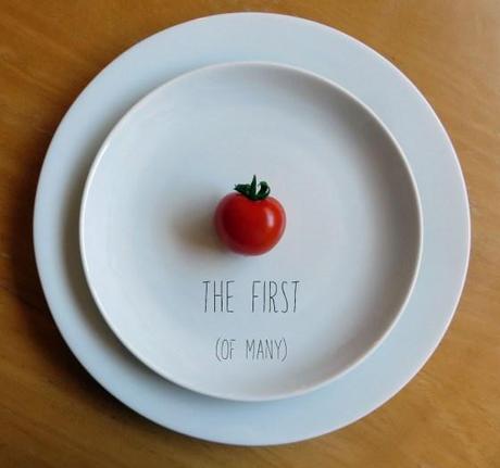 Hoy coronan a Felipe VI pero yo tengo mi primer tomate !!! tomate1