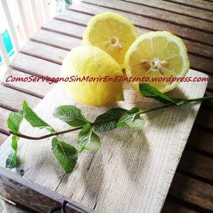 Limonada casera IMG_20140619_185753