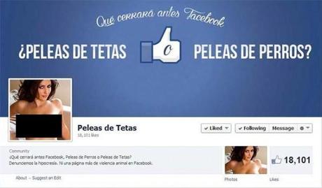 Peleas de tetas Peleas de tetas