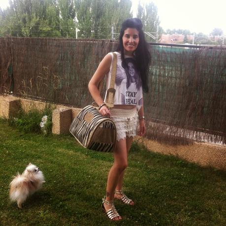 Moda Camiseta Primark, Shorts Encaje y Bolso Perro Moda Camiseta Primark, Shorts Encaje y Bolso Perro