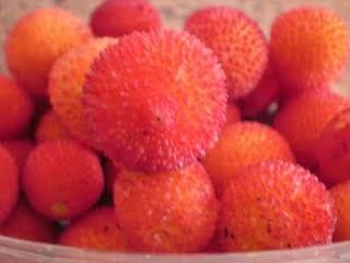 ¡¡ MORAS, MORITAS, MORAS !! ¡¡ MORAS, MORITAS, MORAS !!