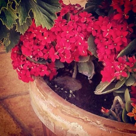 EMBRUJO... EMBRUJO...