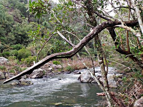 La Quebrada de los Cuervos La Quebrada de los Cuervos