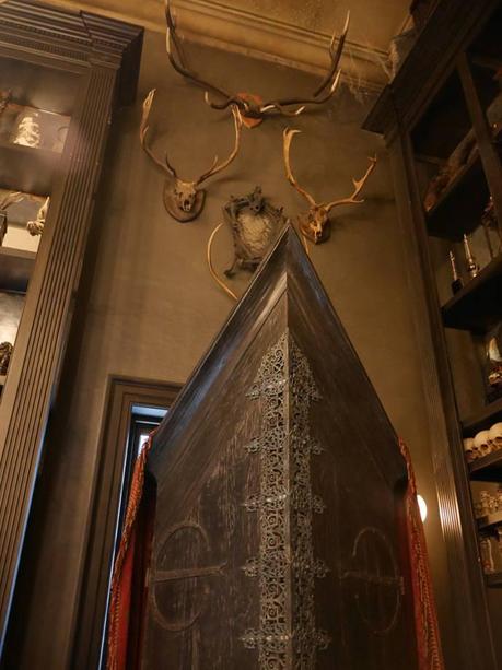 ¡Fotos de #DiagonAlleyPreview at The Wizarding World of Harry Potter! ¡Fotos de #DiagonAlleyPreview at The Wizarding World of Harry Potter!