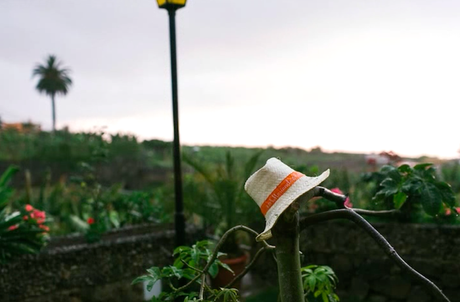 Guest presents Guest presents