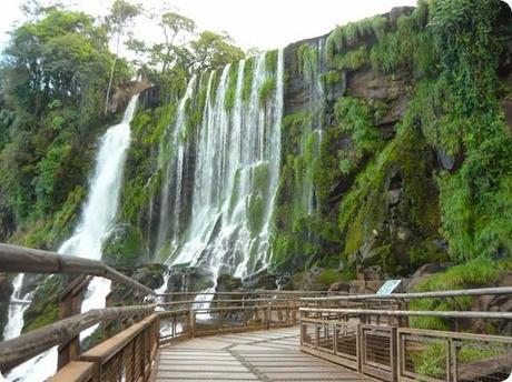 parque nacional iguazu5 parque nacional iguazu5