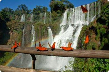 parque nacional iguazu3 parque nacional iguazu3