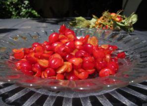 rollitos-de-cerezas-con-canela-02 rollitos-de-cerezas-con-canela-