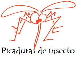 Picadura de insectos