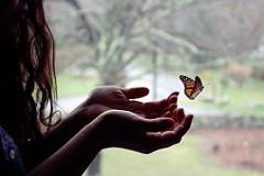 He vivido un proceso de encuentro: Carta de una cliente… para ti coaching proceso de encuentro