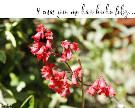 this week im happy for... this week im happy for...