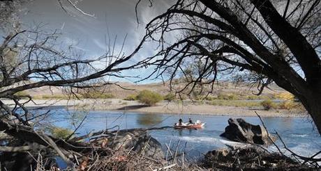 Pesca en Junín de los Andes. Pesca Chimehuín-Neuquén