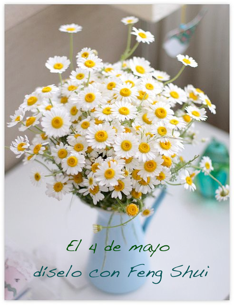 El 4 de mayo... díselo con Feng Shui El 4 de mayo... díselo con Feng Shui