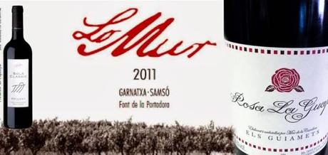 Rosa la Guapa: degustación en Sabors d’Estruc Vinoteca sabordestruc_vinoteca_cata_productores