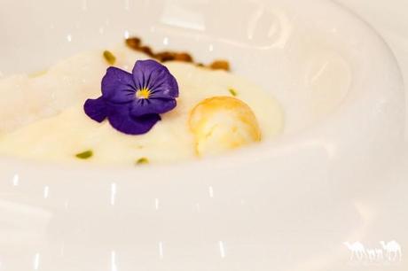 Ruta de Tapas por Albacete: Restaurantes Ruta de Tapas por Albacete: Restaurantes