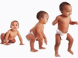 Del gateo a la bipedación Del gateo a la bipedación