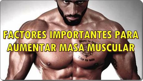 Factores importantes para aumentar la masa muscular Factores importantes para aumentar la masa muscular