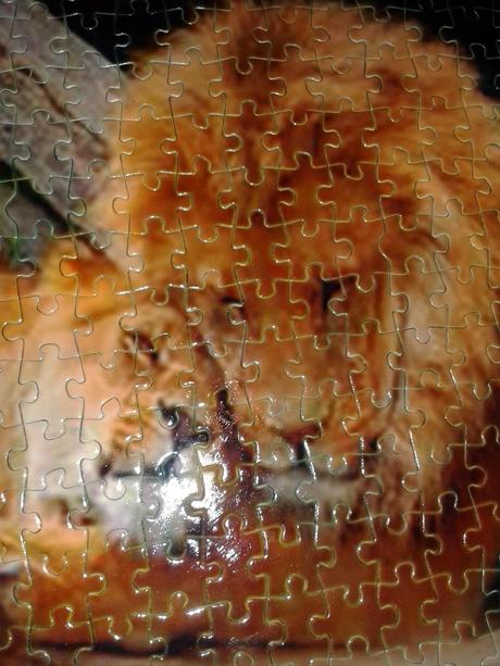 Puzzle personalizado Puzzle personalizado