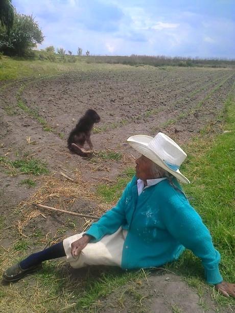 MUJER CORAZON DE LA TIERRA