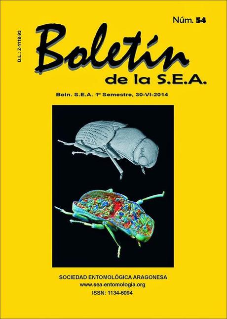 Nueva especie de grillo en cuevas de La Española Nueva especie de grillo en cuevas de La Española