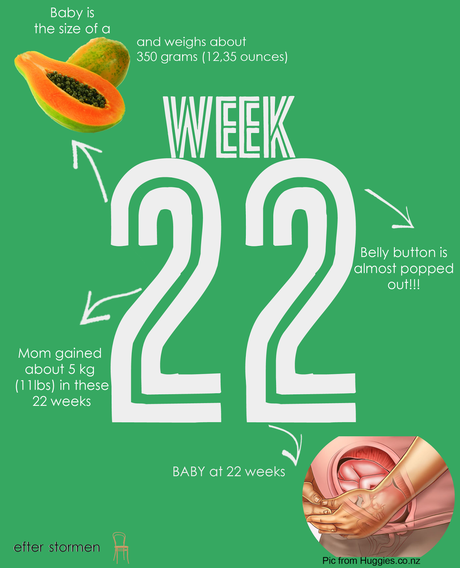 Semana 22 Embarazo | Week 22 Pregnancy
