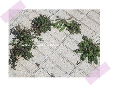 El mejor juego : la naturaleza El mejor juego : la naturaleza