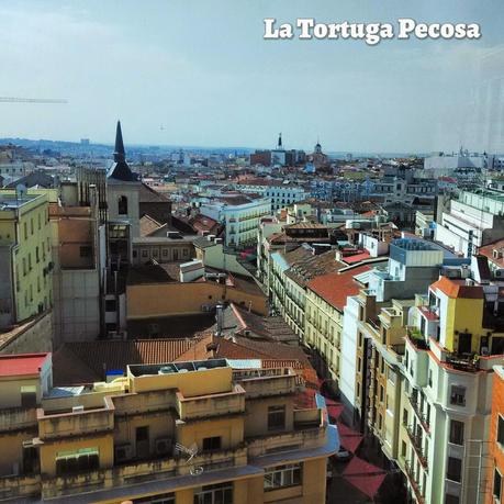 CAFETERIA CON VISTAS DE MADRID