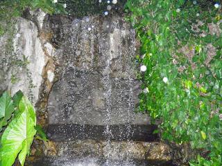 EL JARDÍN BOTÁNICO DE SINGAPUR