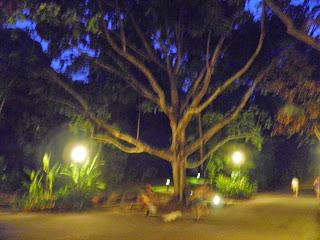 EL JARDÍN BOTÁNICO DE SINGAPUR